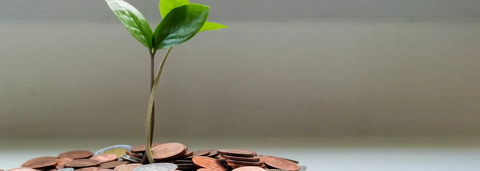 Financial Empowerment Program
